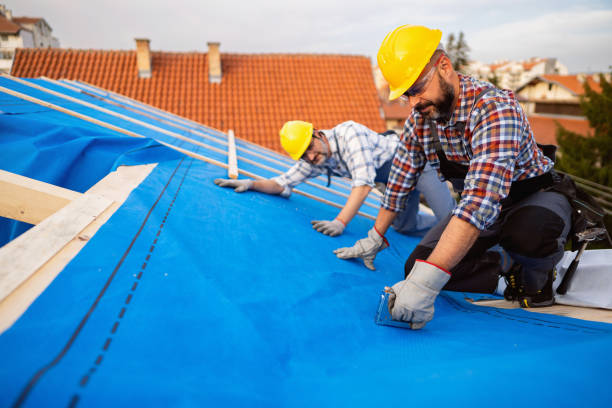 Best Roof Leak Repair  in El Paso, IL
